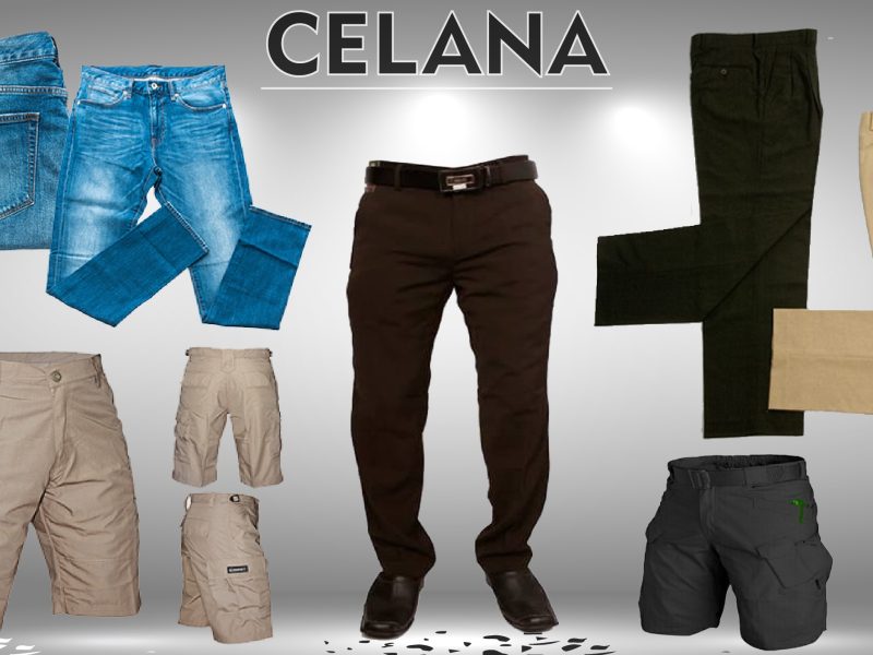 CELANA